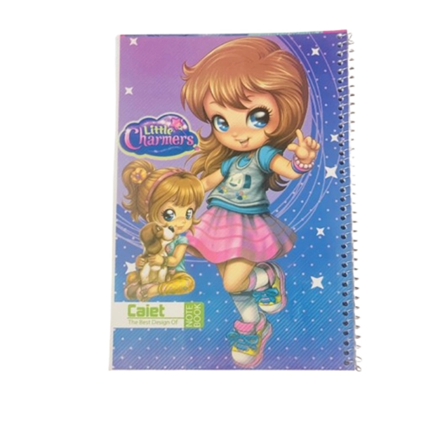 تصویر  دفتر نقاشی سیمی 50 برگ برند کایت