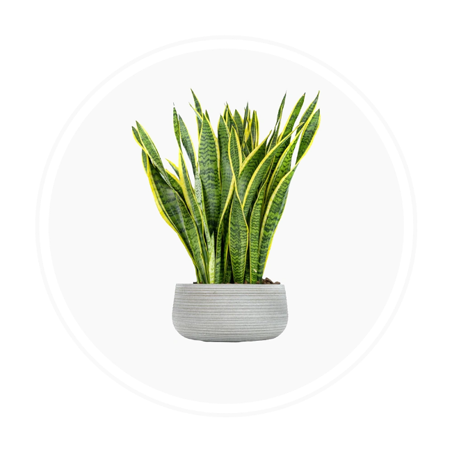 تصویر برای دسته  گلدان و گل مصنوعی