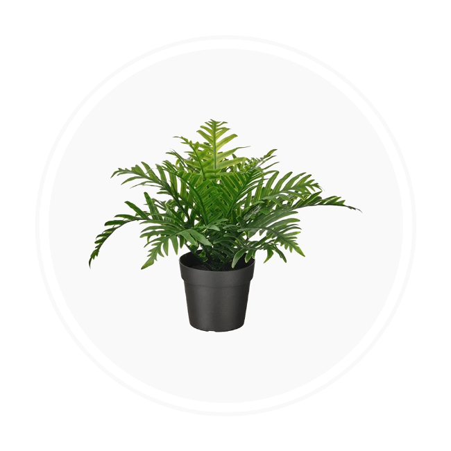 تصویر برای دسته  گیاهان مصنوعی