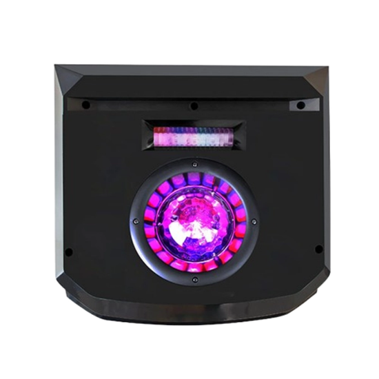 تصویر  اسپیکر دیجی دار ایستاده دنای مدل DA3010DJ10YN