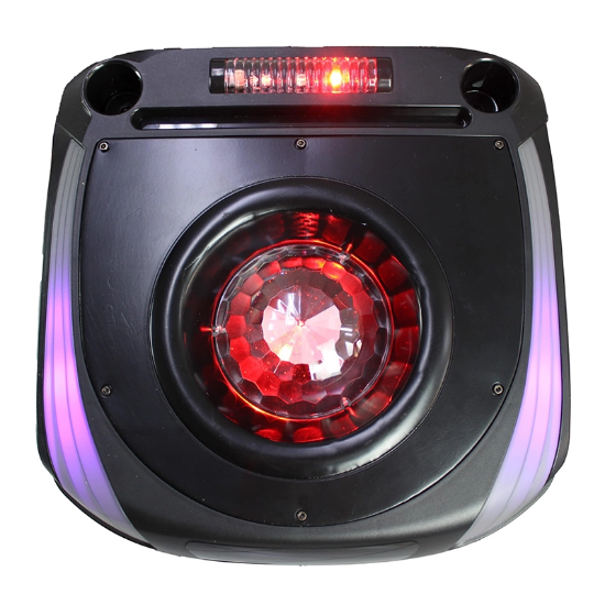 تصویر  اسپیکر ایستاده دنای مدل WB2012DJ9RWS دی جی دار